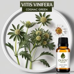 Óleo Essencial CONHAQUE VERDE - COGNAC GREEN - BMS... - ÓLEOS NATURA OFICIAL