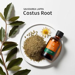 Óleo Essencial RAIZ DE KUSTA - COSTUS ROOT (KUSHTA... - ÓLEOS NATURA OFICIAL
