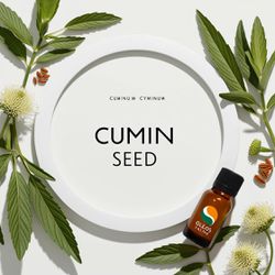 Óleo Essencial SEMENTES CAMINHO - CUMIN SEED - BMS... - ÓLEOS NATURA OFICIAL