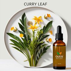 Óleo Essencial CURRY FOLHAS - CURRY LEAF - BMSOECU... - ÓLEOS NATURA OFICIAL