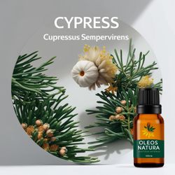 Óleo Essencial CIPRESTE - CYPRESS - BMSOECYPRESS - ÓLEOS NATURA OFICIAL
