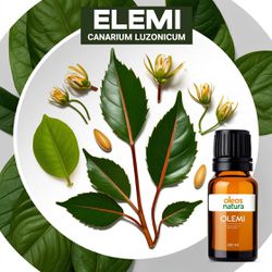 Óleo Essencial ELEMI - Canarium luzonicum - BMSOEE... - ÓLEOS NATURA OFICIAL