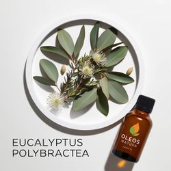 Óleo Essencial Eucalipto Azul - Eucalyptus Polibra... - ÓLEOS NATURA