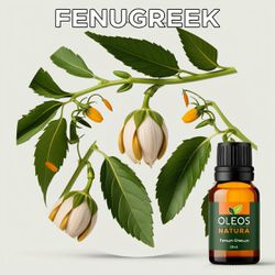 Óleo Essencial Feno Grego - Fenugreek - BMSOEFENUG... - ÓLEOS NATURA