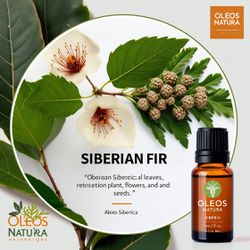 Óleo Essencial Abeto Da SibÉria - Fir Needle (sibe... - ÓLEOS NATURA