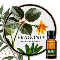 Óleo Essencial FragÔnia - Agonis Fragrans - BMSOEF... - ÓLEOS NATURA