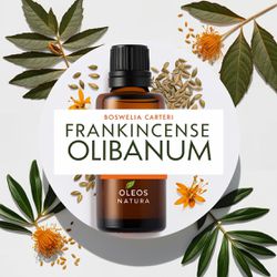 Óleo Essencial OlÍbano Do Deserto - Frankincense O... - ÓLEOS NATURA
