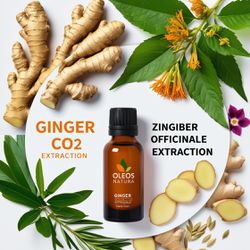 Óleo Essencial Gengibre - Ginger (co2 Extraction) ... - ÓLEOS NATURA