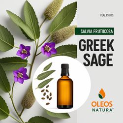 Óleo Essencial SÁlvia Grega - Greek Sage - BMSOEGR... - ÓLEOS NATURA