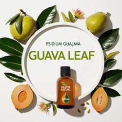 Óleo Essencial Folha De Goiaba - Guava Leaf - BMSO... - ÓLEOS NATURA