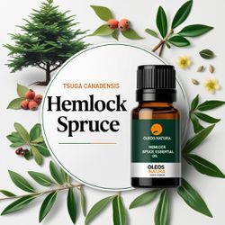 Óleo Essencial Espruce Do CanadÁ - Hemlock Spruce ... - ÓLEOS NATURA