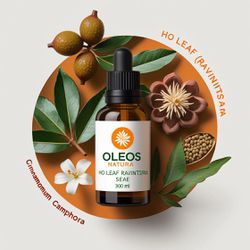 Óleo Essencial Canforeira Folha - Ho Leaf (ravints... - ÓLEOS NATURA