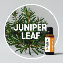 Óleo Essencial Zimbro Folhas - Juniper Leaf - BMSO... - ÓLEOS NATURA