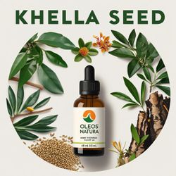 Óleo Essencial Ammi Visnaga, Khella - Khella Seed ... - ÓLEOS NATURA
