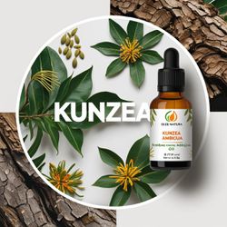 Óleo Essencial Kunzea Branca - Kunzea - BMSOEKUNZE... - ÓLEOS NATURA