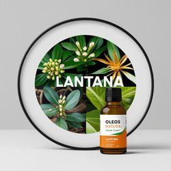 Óleo Essencial CamarÁ De Cheiro - Lantana - BMSOEL... - ÓLEOS NATURA