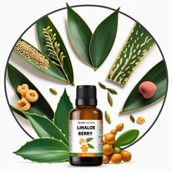Óleo Essencial Linaloe Bagas - Linaloe Berry - BMS... - ÓLEOS NATURA