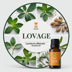Óleo Essencial LevÍstico - Lovage - BMSOELOVAGE - ÓLEOS NATURA