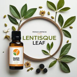 Óleo Essencial Mastique - Lentisque Leaf Mastic - ... - ÓLEOS NATURA