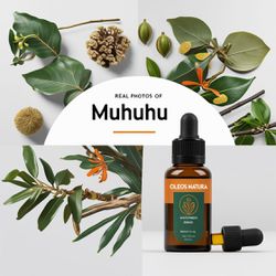 Óleo Essencial Muhungue - Muhuhu - BMSOEMUHUNGUE - ÓLEOS NATURA
