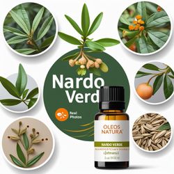 Óleo Essencial Spikenard Jatamansi Nardo Verde - B... - ÓLEOS NATURA