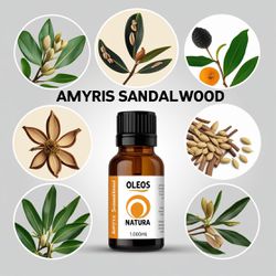 Óleo Essencial Amyris - Sândalo Amyris - BMSOESAND... - ÓLEOS NATURA