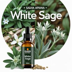 Óleo Essencial SÁlvia Branca - White Sage - BMSOES... - ÓLEOS NATURA