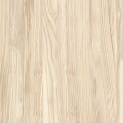 Piso Durag Xingu Polido 71X71 - DELTAMIL PORCELANATOS