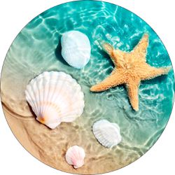 Painel Redondo 50x50 - Conchas Praia - PAINEL E CORES