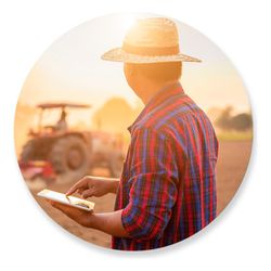 Painel Redondo 50x50 - Fazenda Agro - PAINEL E CORES