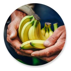 Painel Redondo 50x50 - Fazenda Agro - PAINEL E CORES