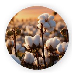 Painel Redondo 50x50 - Fazenda Agro - PAINEL E CORES