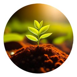 Painel Redondo 50x50 - Fazenda Agro - PAINEL E CORES