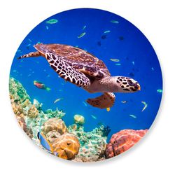 Painel Redondo 50x50 - Fundo do Mar - PAINEL E CORES