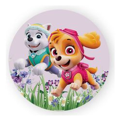 Painel Redondo 50x50 - Patrulha Canina - PAINEL E CORES