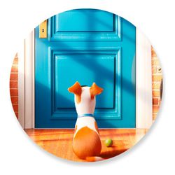 Painel Redondo 50x50 - The Secret Life - PAINEL E CORES