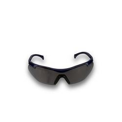 Oculos Paraty Fume Ca19631/Ca20030 - Peronti Soluções
