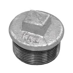Bujão Galvanizado 1