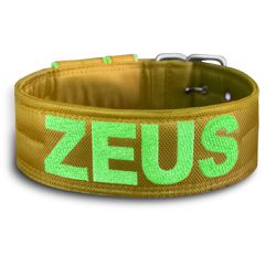 COLEIRA PERSONALIZADA 5cm amarela com nome em verd... - PETSPACE