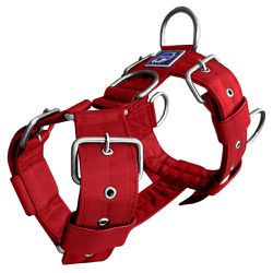 Peitoral universal premium vermelho liso - 028 - PETSPACE