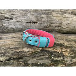 COLEIRA BABY LISA 3cm azul tiffany/rosa - 708 - PETSPACE