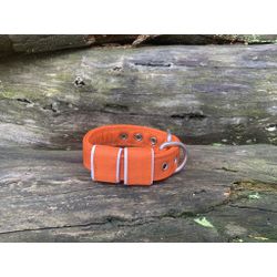 COLEIRA BABY LISA 3cm laranja - 713 - PETSPACE