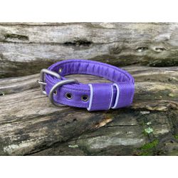 COLEIRA BABY LISA 3cm lilás - 720 - PETSPACE