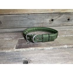 COLEIRA BABY LISA 3cm verde militar - 723 - PETSPACE