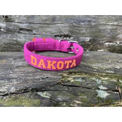 COLEIRA BABY PERSONALIZADA 3cm fúcsia riscado com ... - PETSPACE