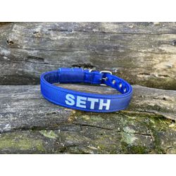 COLEIRA BABY PERSONALIZADA 3cm azul bic com nome e... - PETSPACE