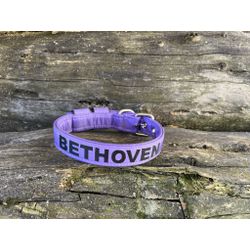 COLEIRA BABY PERSONALIZADA 3cm lilás com nome em p... - PETSPACE