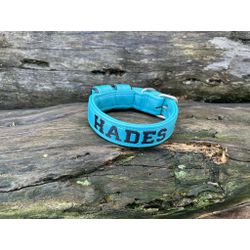 COLEIRA BABY PERSONALIZADA 3cm azul tiffany com no... - PETSPACE