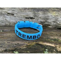 COLEIRA BABY PERSONALIZADA 3cm azul bebê com nome ... - PETSPACE