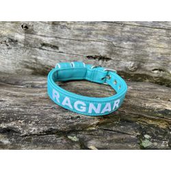 COLEIRA BABY PERSONALIZADA 3cm azul tiffany com no... - PETSPACE